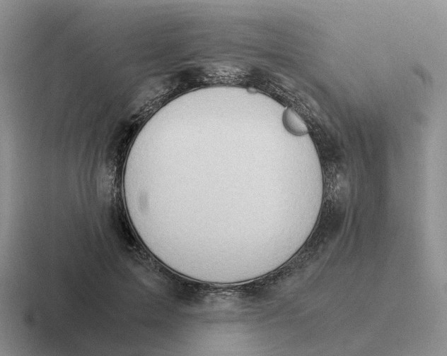 X0000116640599201001041032