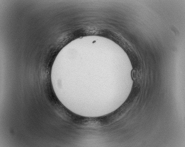 X0000116640601201001041032