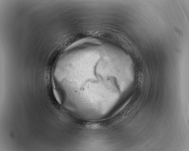 X0000116640602201001041032