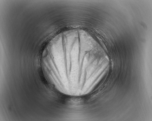 X0000116640606201001041032