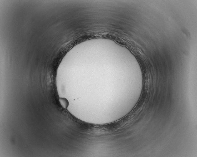 X0000116640608201001041032