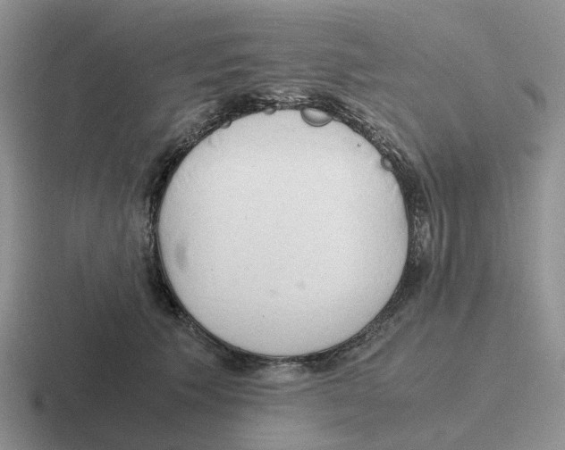 X0000116640609201001041032