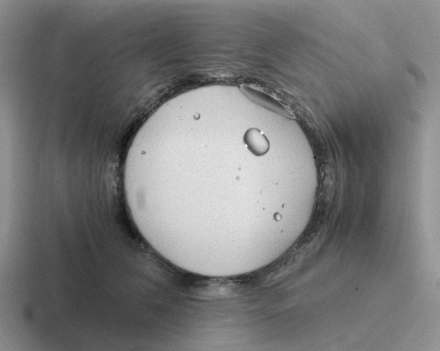 X0000116640612201001041032