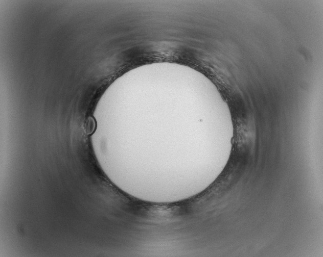 X0000116640613201001041032