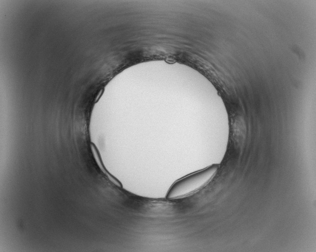 X0000116640617201001041032