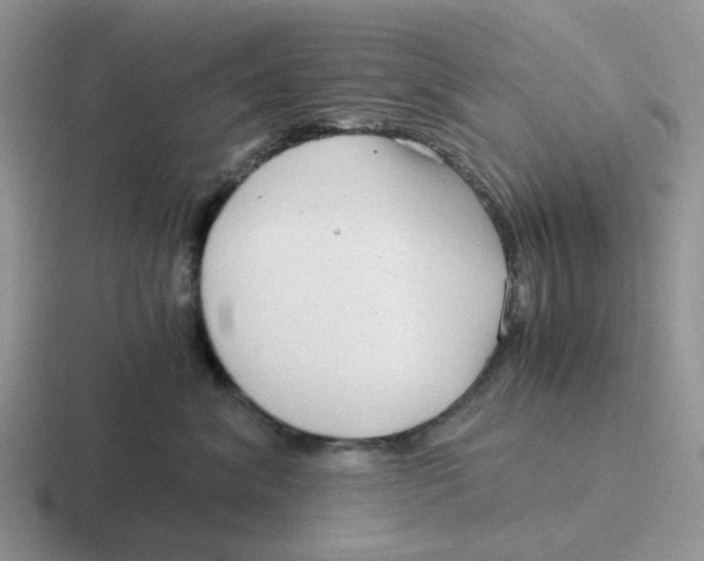 X0000116640620201001041032