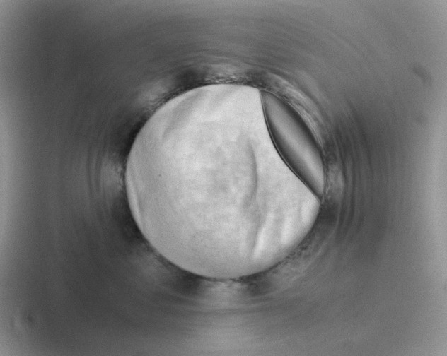 X0000116640621201001041032