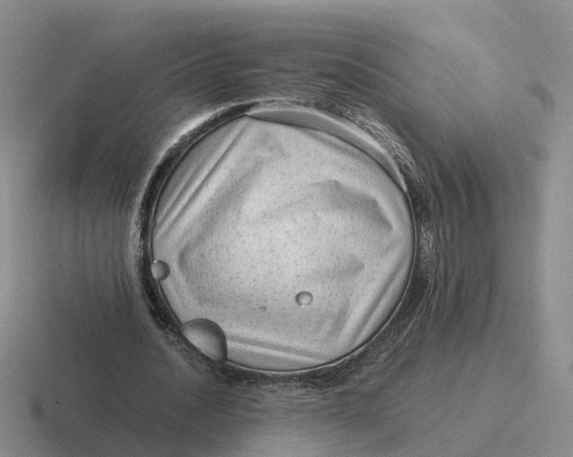 X0000116640628201001041031