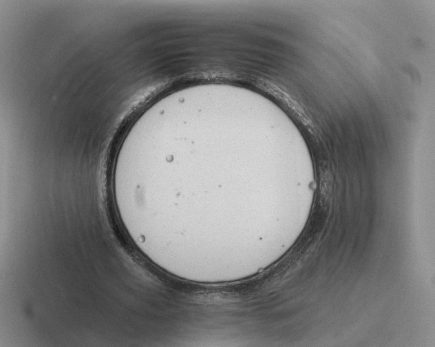 X0000116640629201001041031