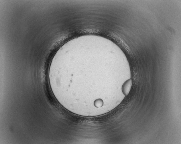 X0000116640635201001041031