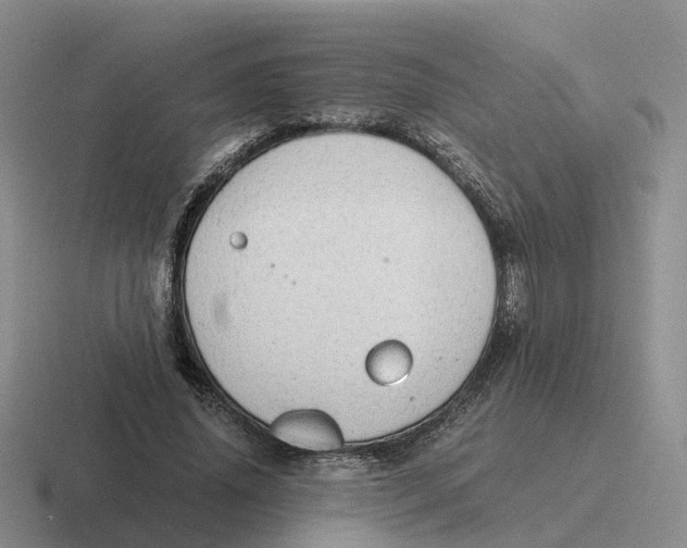 X0000116640636201001041031