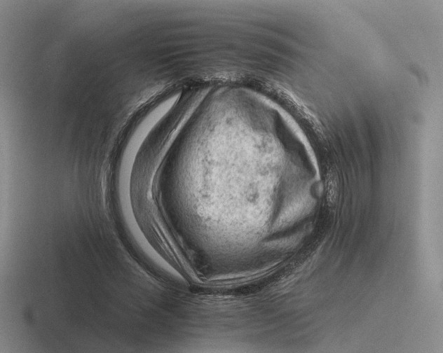 X0000116640637201001041031