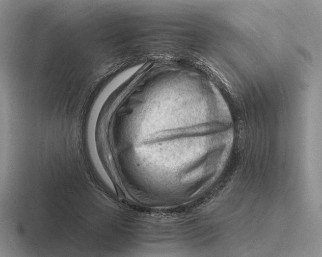 X0000116640641201001041031