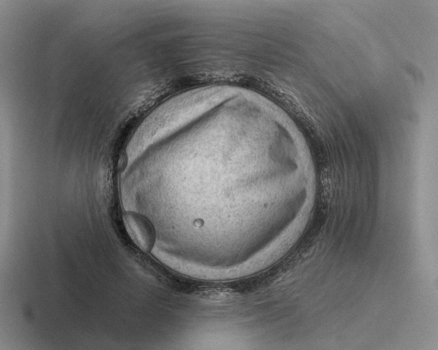 X0000116640642201001041031