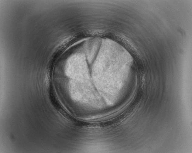 X0000116640644201001041032