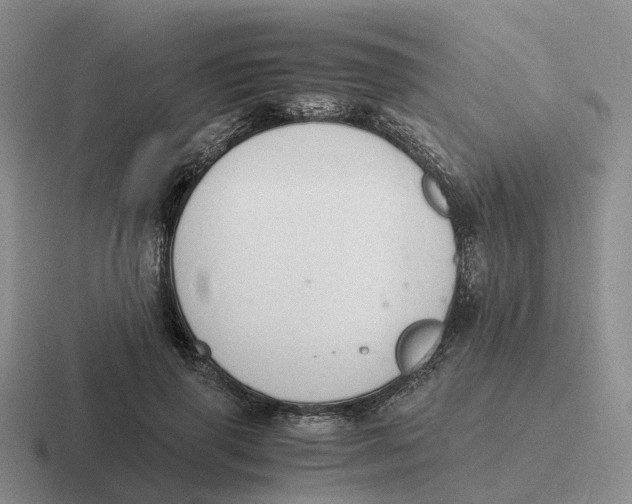 X0000116640645201001041032