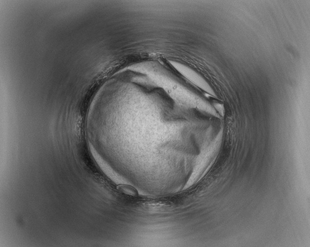 X0000116640650201001041032