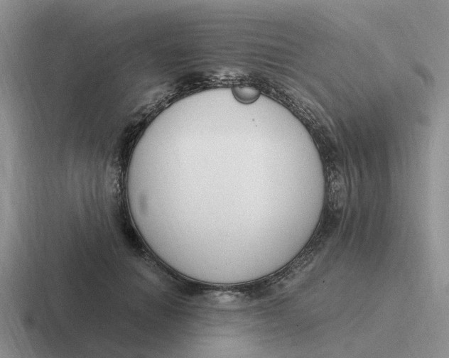 X0000116640654201001041032