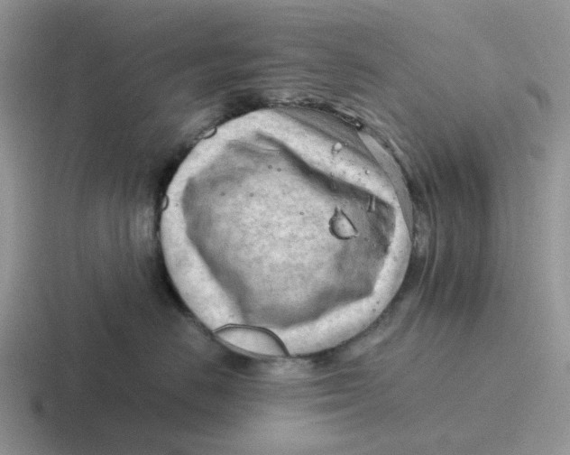 X0000116640670201001041032