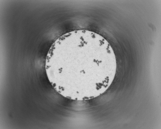 X0000116640672201001041032