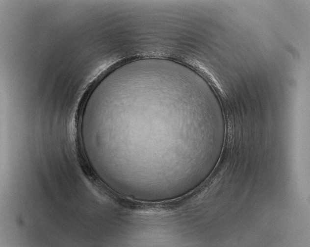 X0000116640674201001041031