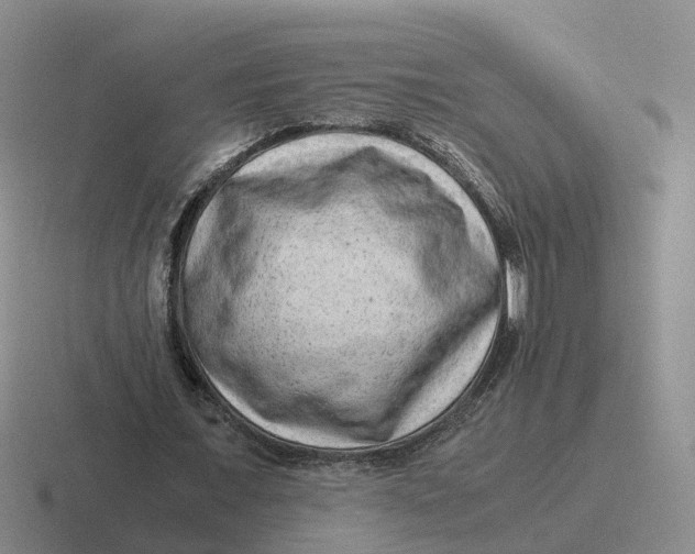 X0000116640675201001041031