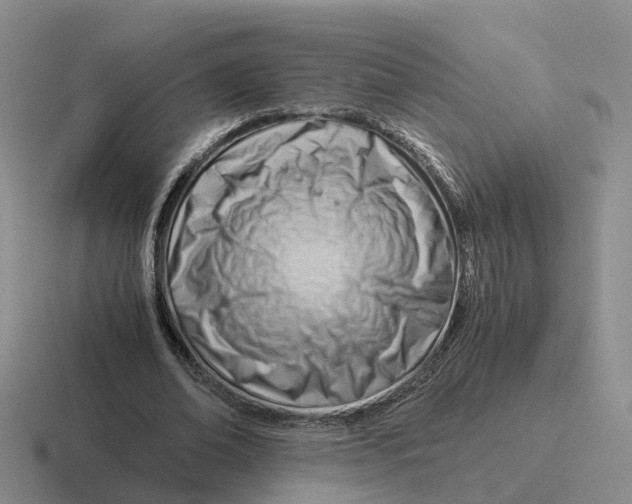 X0000116640678201001041031