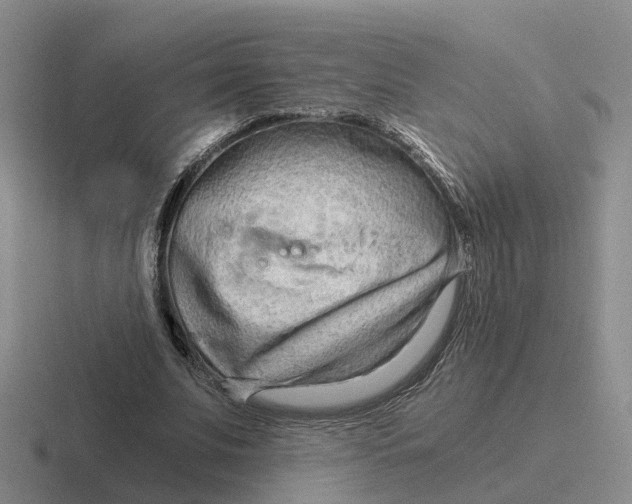 X0000116640679201001041031