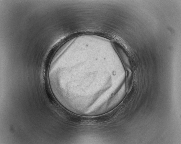 X0000116640680201001041031