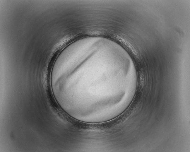 X0000116640682201001041031