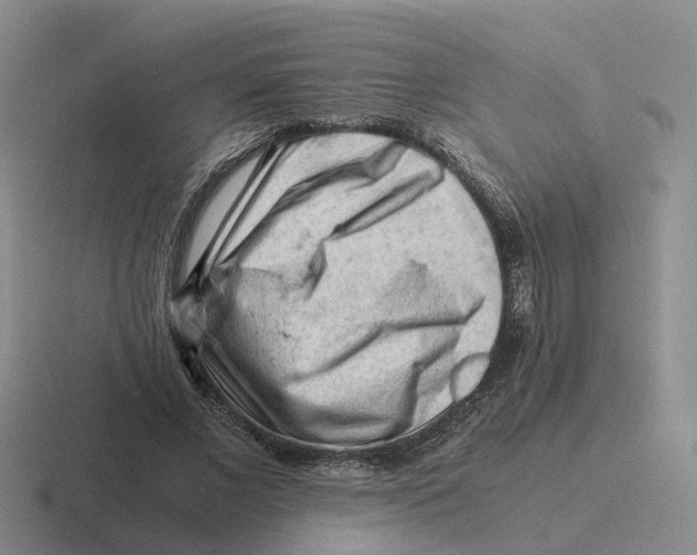 X0000116640685201001041031