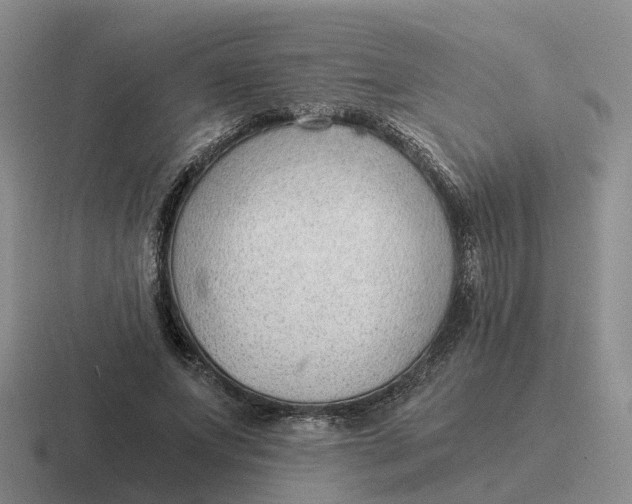 X0000116640687201001041031