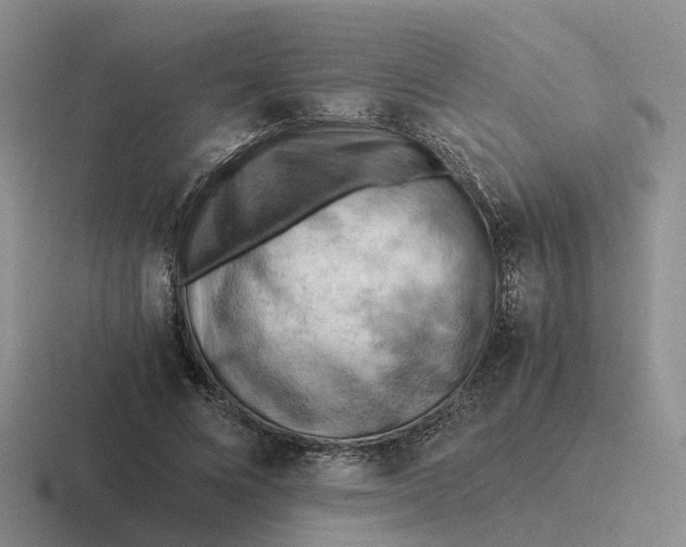 X0000116640688201001041031