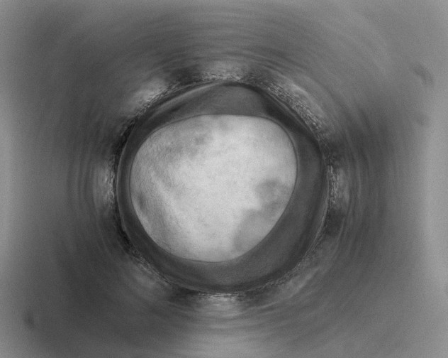 X0000116640692201001041031