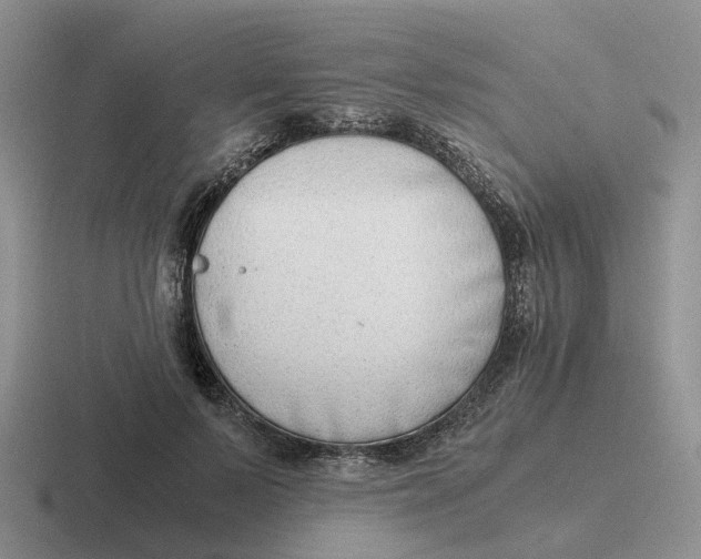 X0000116640695201001041031