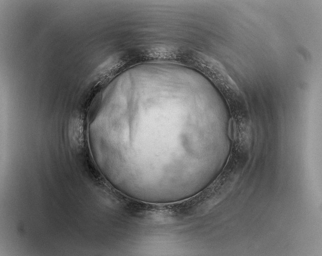 X0000116640696201001041031