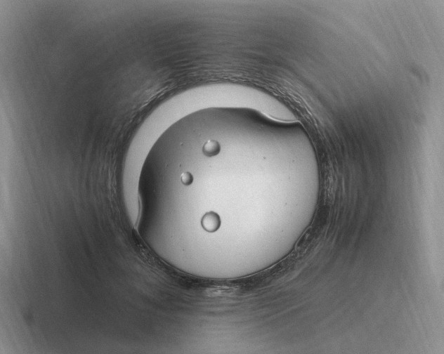 X0000116640700201001041031