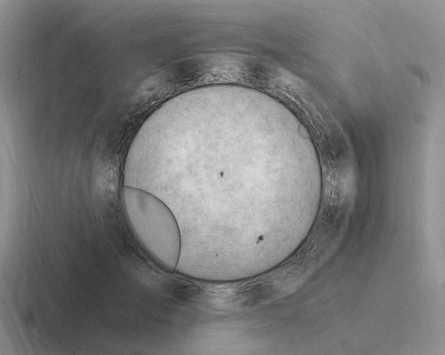 X0000116640701201001041031