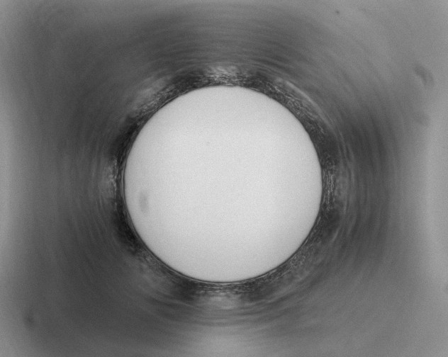 X0000116640702201001041031