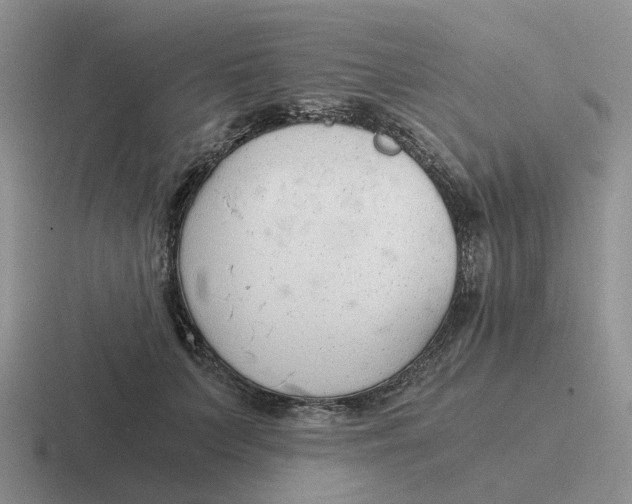 X0000116640703201001041031