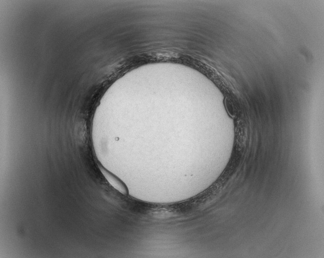 X0000116640704201001041031