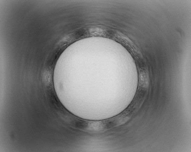 X0000116640705201001041031