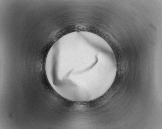 X0000116640706201001041031