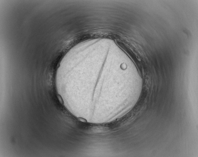 X0000116640708201001041031