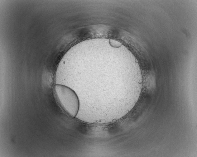 X0000116640709201001041031