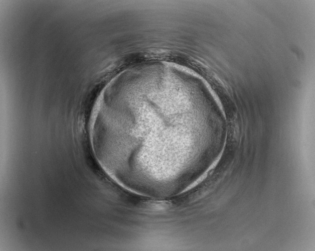 X0000116640711201001041031