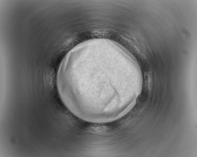 X0000116640712201001041031