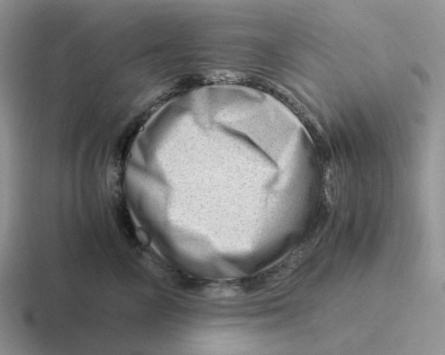 X0000116640714201001041031