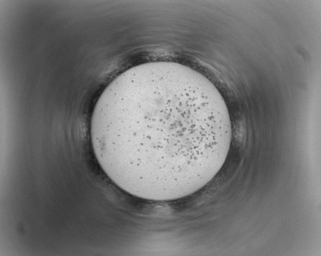 X0000116640715201001041031