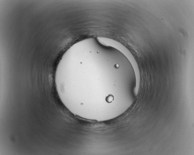 X0000116640716201001041031